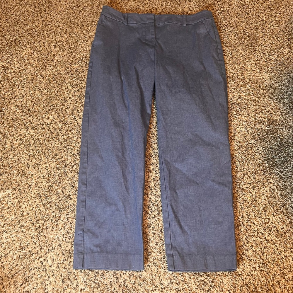 LOFT The Riviera Slim Crop Pants Size 10 Blue Office Career Casual